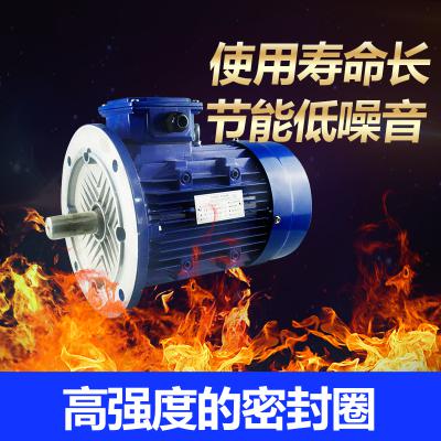 MS系列鋁殼電動機(jī)